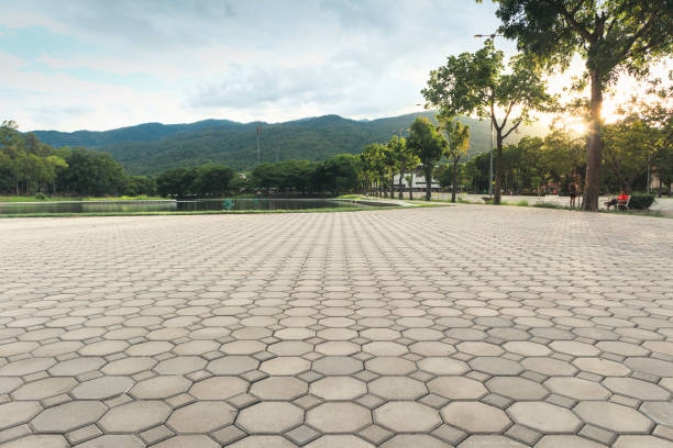 Best Driveway Pavers Contractor  in Chevy Chase, MD